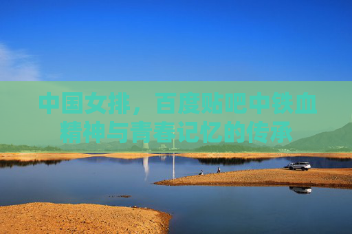 中国女排，百度贴吧中铁血精神与青春记忆的传承