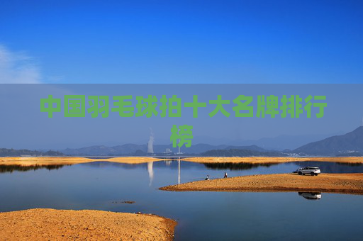中国羽毛球拍十大名牌排行榜