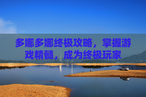 多娜多娜终极攻略，掌握游戏精髓，成为终极玩家