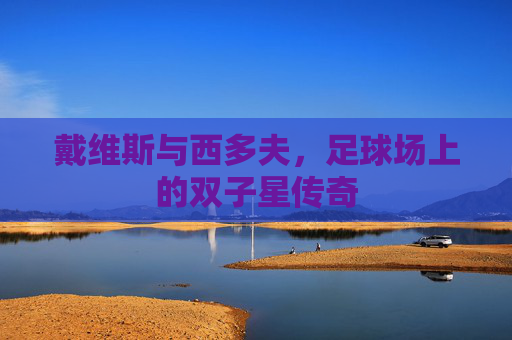 戴维斯与西多夫，足球场上的双子星传奇