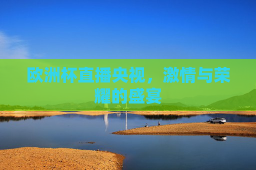 欧洲杯直播央视，激情与荣耀的盛宴