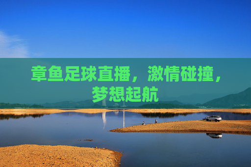 章鱼足球直播，激情碰撞，梦想起航