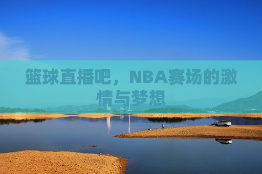 篮球直播吧,NBA赛场的激情与梦想 篮球直播吧,NBA赛场的激情与梦想