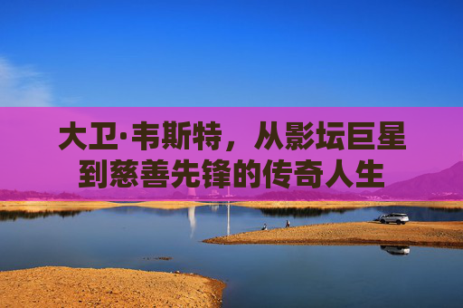 大卫·韦斯特，从影坛巨星到慈善先锋的传奇人生