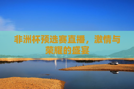 非洲杯预选赛直播，激情与荣耀的盛宴