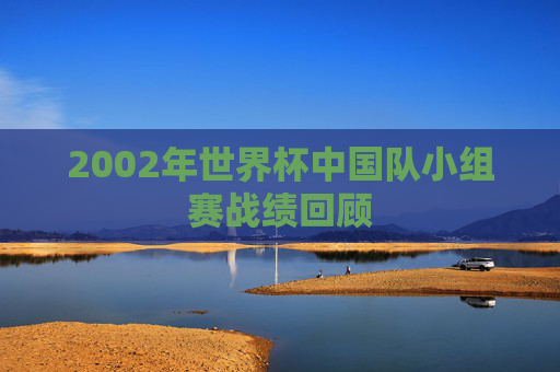 2002年世界杯中国队小组赛战绩回顾