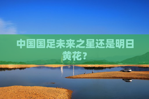 中国国足未来之星还是明日黄花？