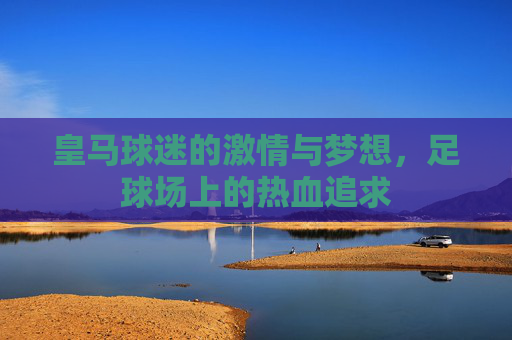 皇马球迷的激情与梦想，足球场上的热血追求