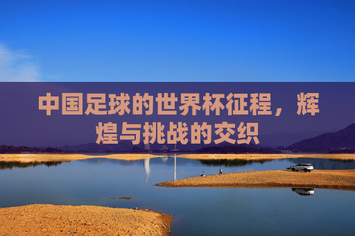 中国足球的世界杯征程，辉煌与挑战的交织
