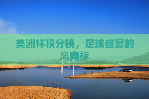 美洲杯积分榜，足球盛宴的风向标