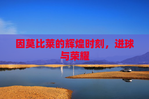 因莫比莱的辉煌时刻，进球与荣耀