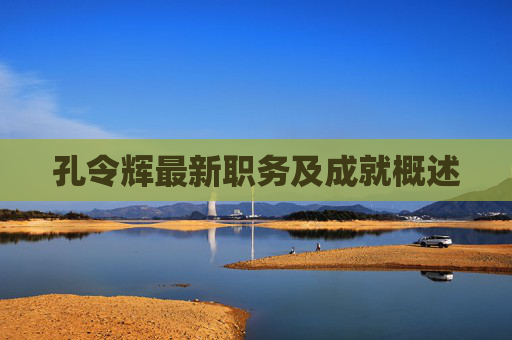 孔令辉最新职务及成就概述