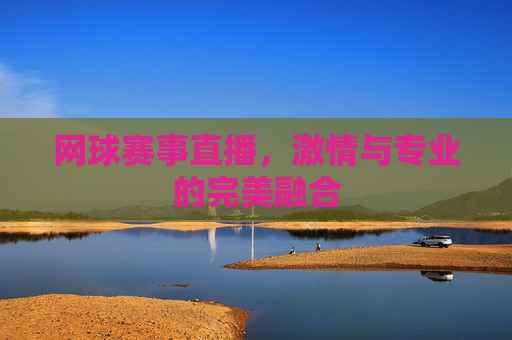 网球赛事直播，激情与专业的完美融合