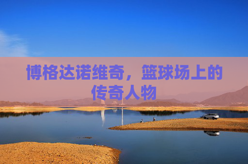 博格达诺维奇，篮球场上的传奇人物