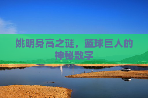 姚明身高之谜，篮球巨人的神秘数字