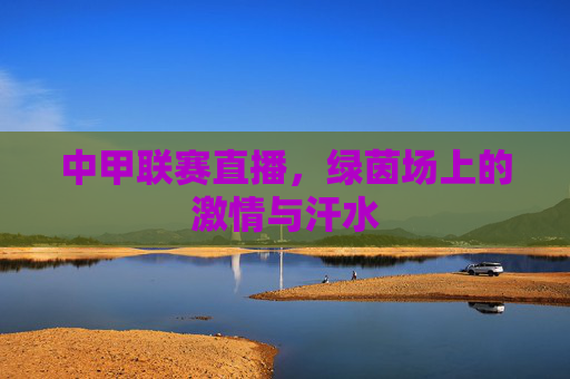 中甲联赛直播，绿茵场上的激情与汗水