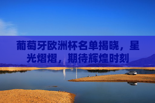 葡萄牙欧洲杯名单揭晓，星光熠熠，期待辉煌时刻