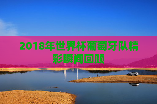 2018年世界杯葡萄牙队精彩瞬间回顾