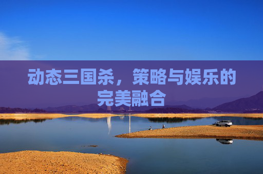 动态三国杀，策略与娱乐的完美融合