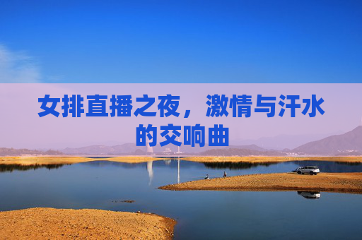 女排直播之夜，激情与汗水的交响曲