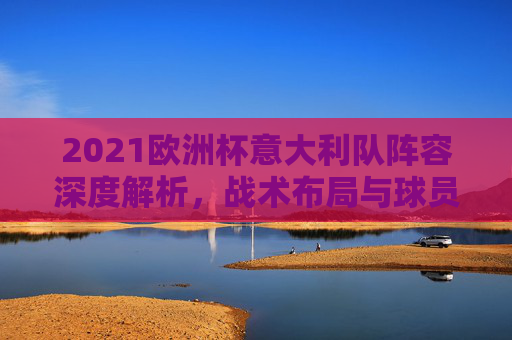 2021欧洲杯意大利队阵容深度解析，战术布局与球员配置