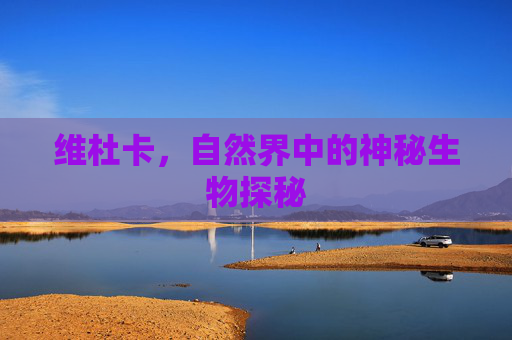 维杜卡，自然界中的神秘生物探秘