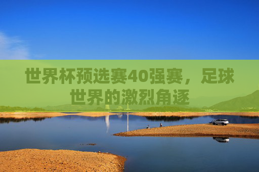 世界杯预选赛40强赛，足球世界的激烈角逐