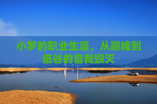 小罗的职业生涯，从巅峰到低谷的自我毁灭