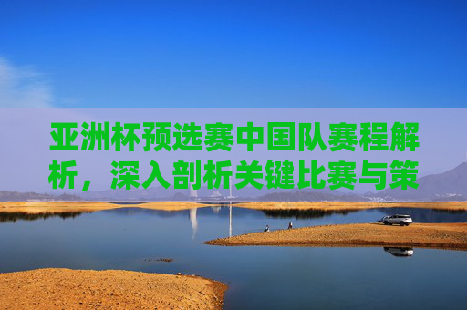 亚洲杯预选赛中国队赛程解析，深入剖析关键比赛与策略