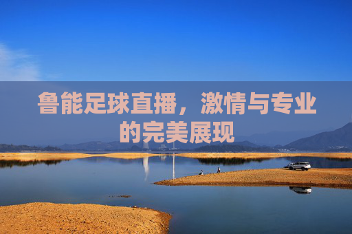 鲁能足球直播，激情与专业的完美展现