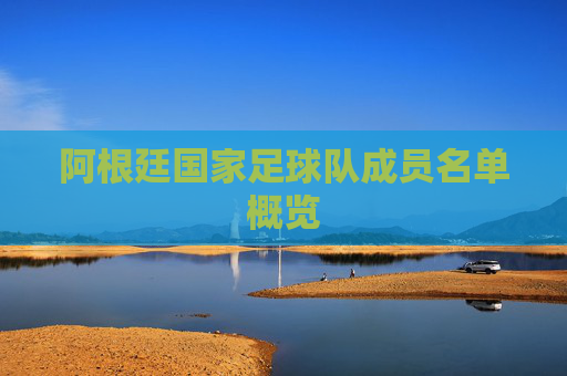 阿根廷国家足球队成员名单概览