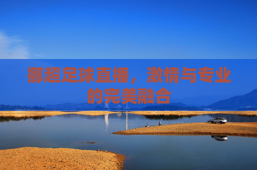 挪超足球直播，激情与专业的完美融合