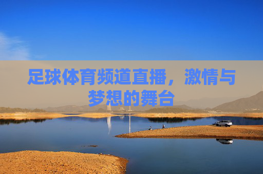 足球体育频道直播，激情与梦想的舞台