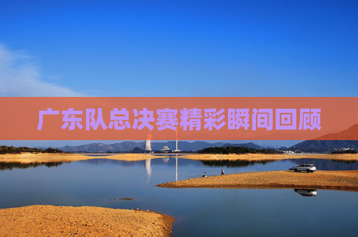 广东队总决赛精彩瞬间回顾