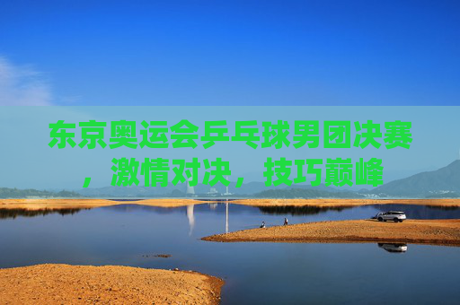 东京奥运会乒乓球男团决赛，激情对决，技巧巅峰