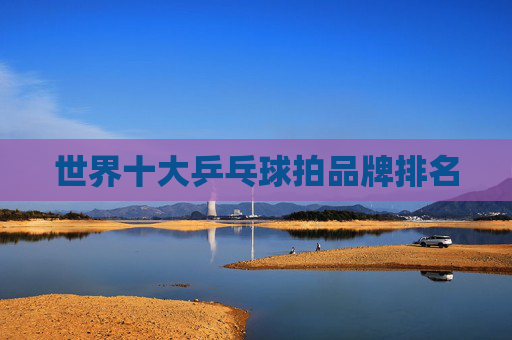 世界十大乒乓球拍品牌排名