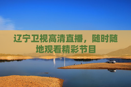 辽宁卫视高清直播，随时随地观看精彩节目