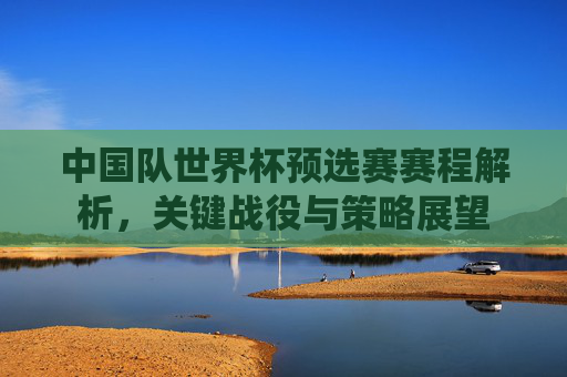 中国队世界杯预选赛赛程解析，关键战役与策略展望
