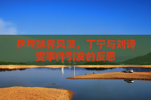 乒乓球界风波，丁宁与刘诗雯事件引发的反思