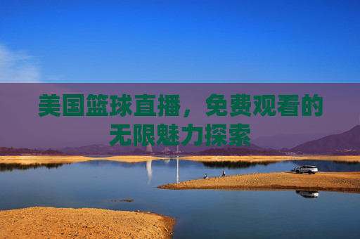 美国篮球直播，免费观看的无限魅力探索