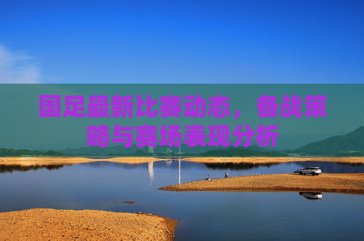 国足最新比赛动态，备战策略与赛场表现分析