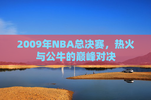 2009年NBA总决赛，热火与公牛的巅峰对决
