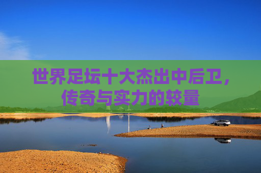 世界足坛十大杰出中后卫,传奇与实力的较量 世界足坛十大杰出中后卫,传奇与实力的较量