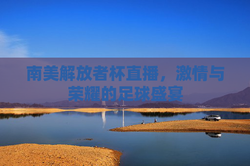 南美解放者杯直播,激情与荣耀的足球盛宴 南美解放者杯直播,激情与荣耀的足球盛宴