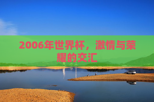 2006年世界杯，激情与荣耀的交汇