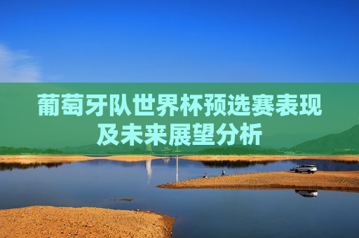 葡萄牙队世界杯预选赛表现及未来展望分析