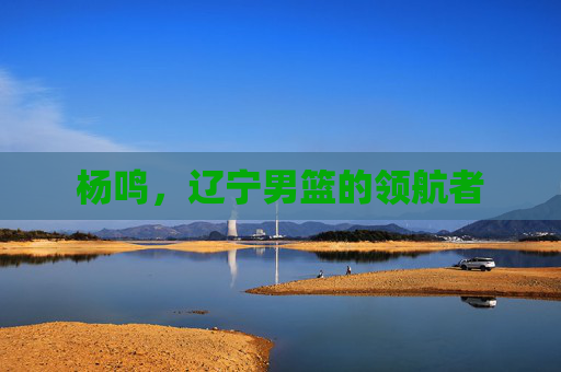 杨鸣，辽宁男篮的领航者