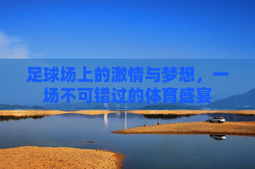 足球场上的激情与梦想，一场不可错过的体育盛宴