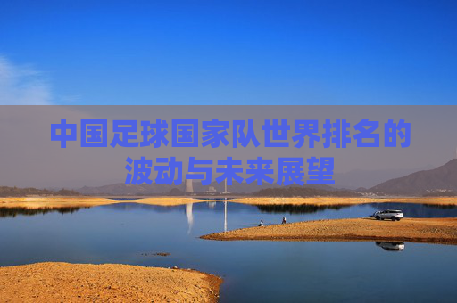 中国足球国家队世界排名的波动与未来展望