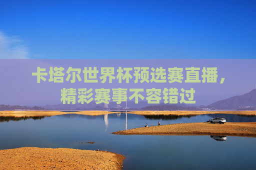卡塔尔世界杯预选赛直播，精彩赛事不容错过